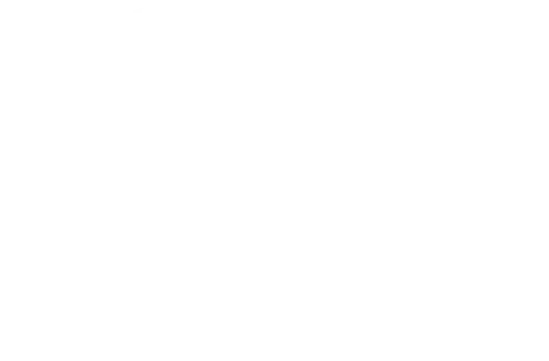 Netler logotyp